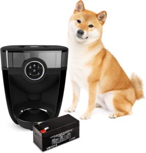 Top Smart Automatic Pet Feeders 