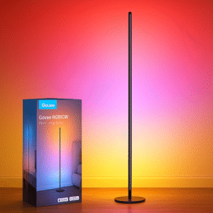 govee rgbic floor lamp basic