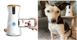 Does The Furbo Dog Camera Clear Your Anxiety About Your Dog?