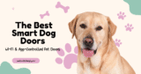 The Best Smart Dog Doors for 2025: Wi Fi & App Controlled Pet Doors